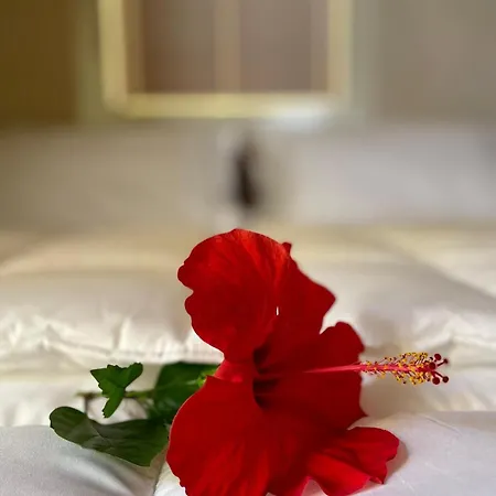 Maison Yolo - Slow Living Sicily דירה *